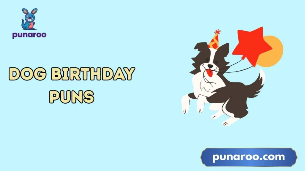 Funny dog birthday wishes