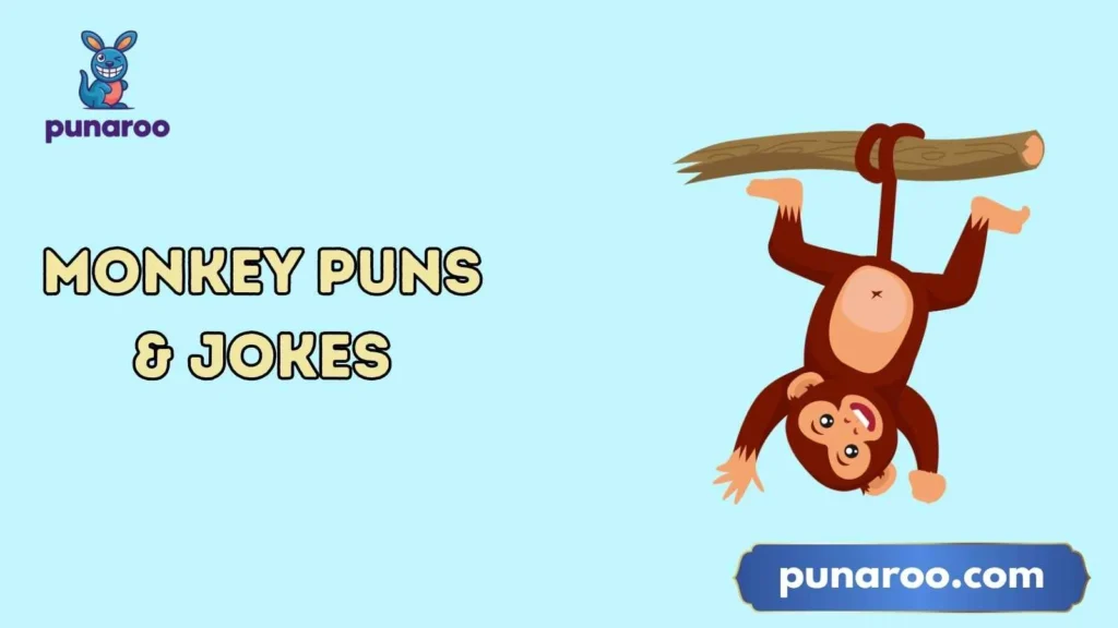 Funny Monkey Puns Captions