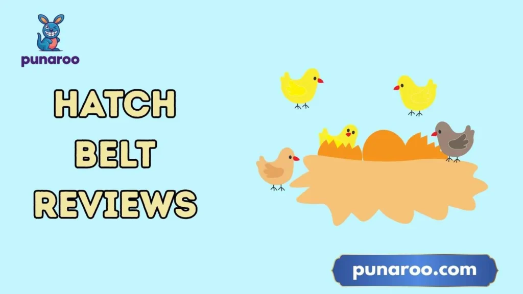 Hatch Belt Reviews Reddit