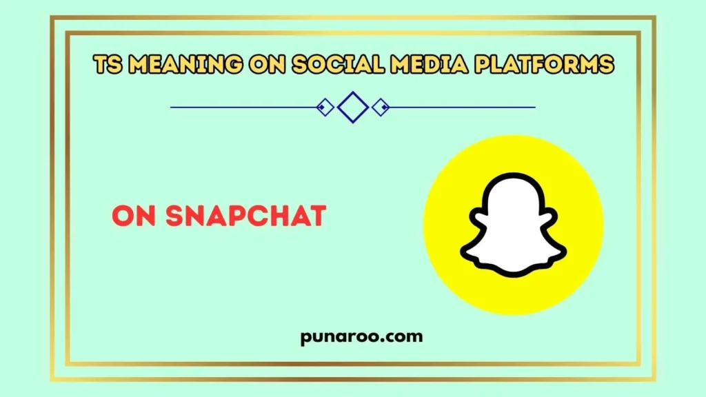 TS Meaning on Social Media Platforms