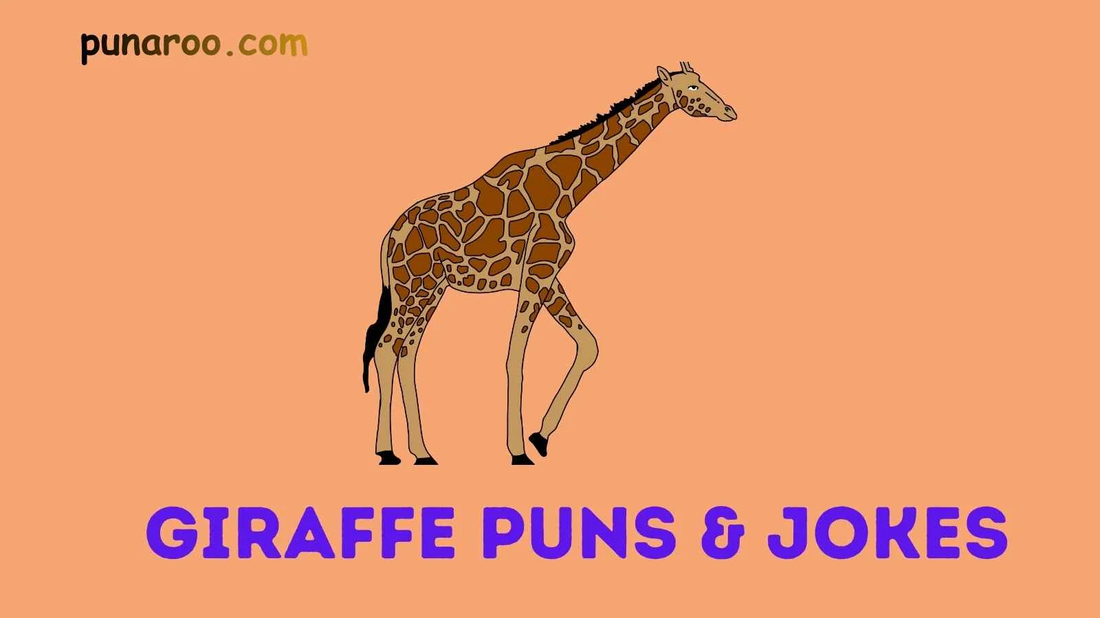 Giraffe Puns & Jokes