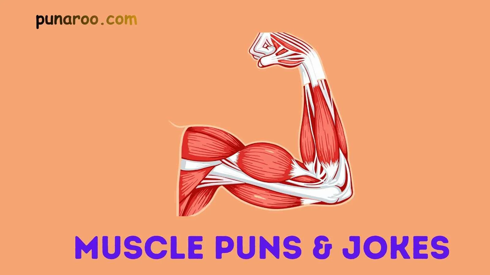 Muscle Puns & Jokes