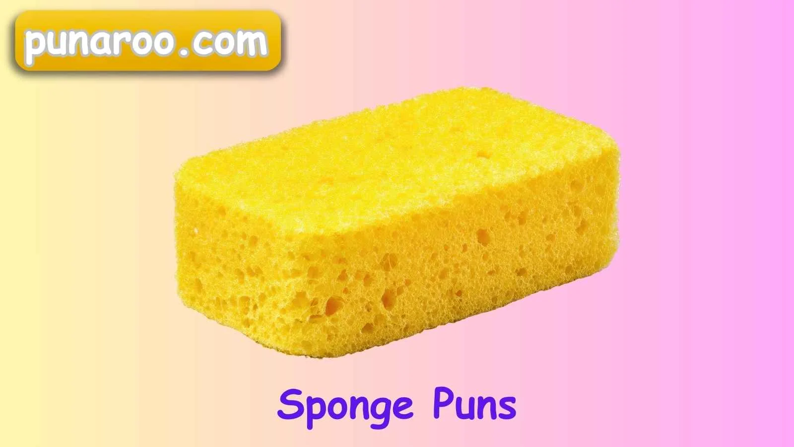 Sponge Puns