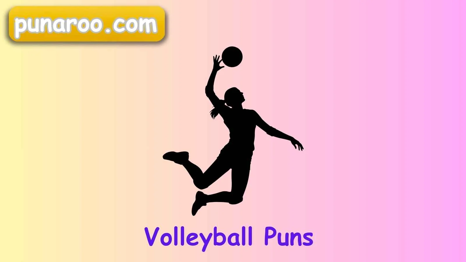 Volleyball Puns