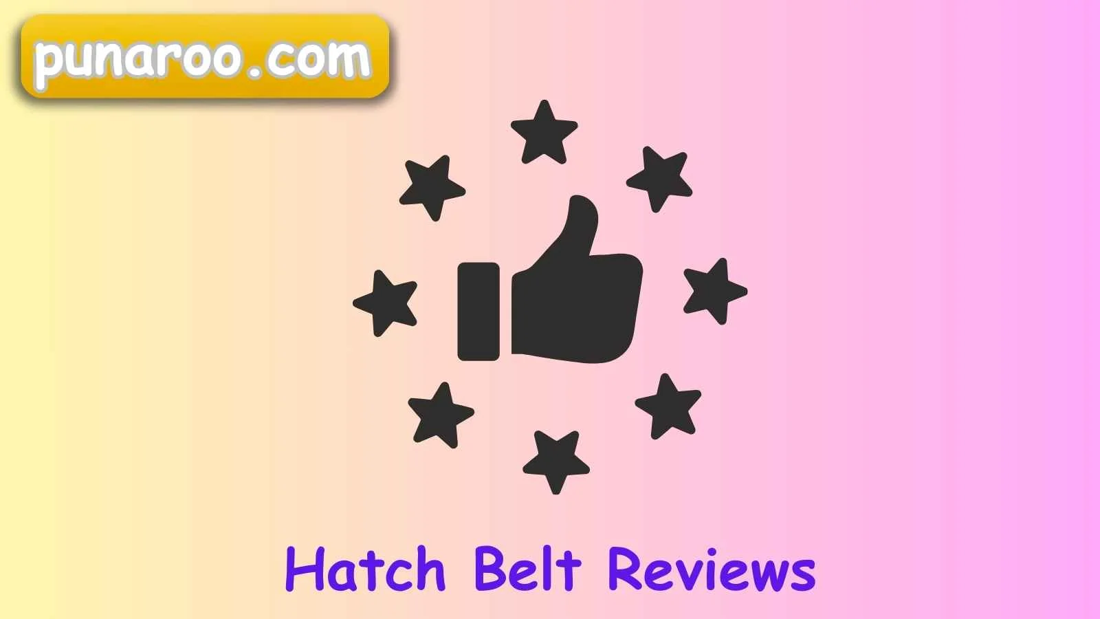 Hatch Belt Reviews