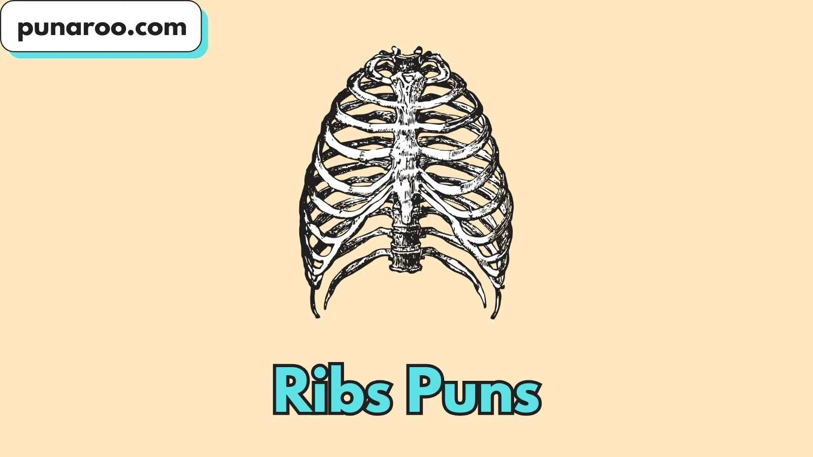 Ribs Puns
