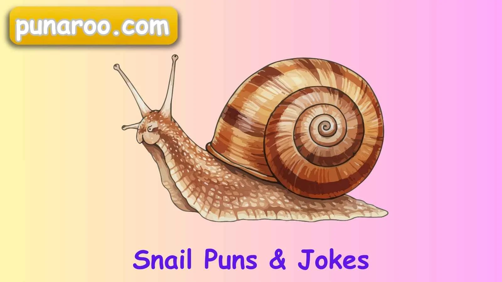 Snail Puns & Jokes