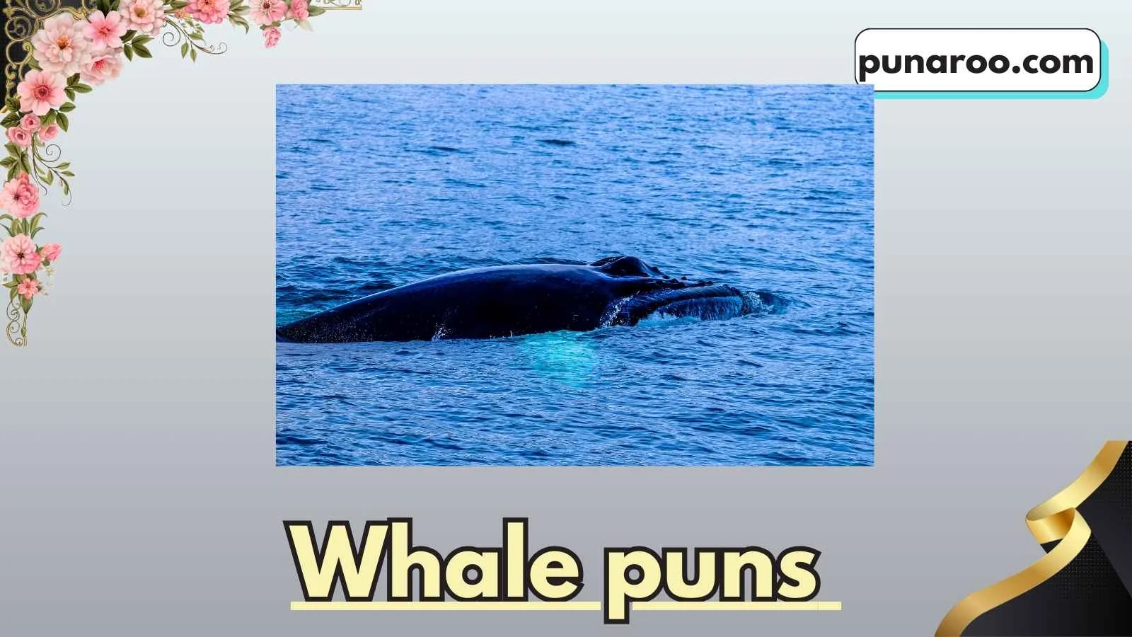 Whale puns