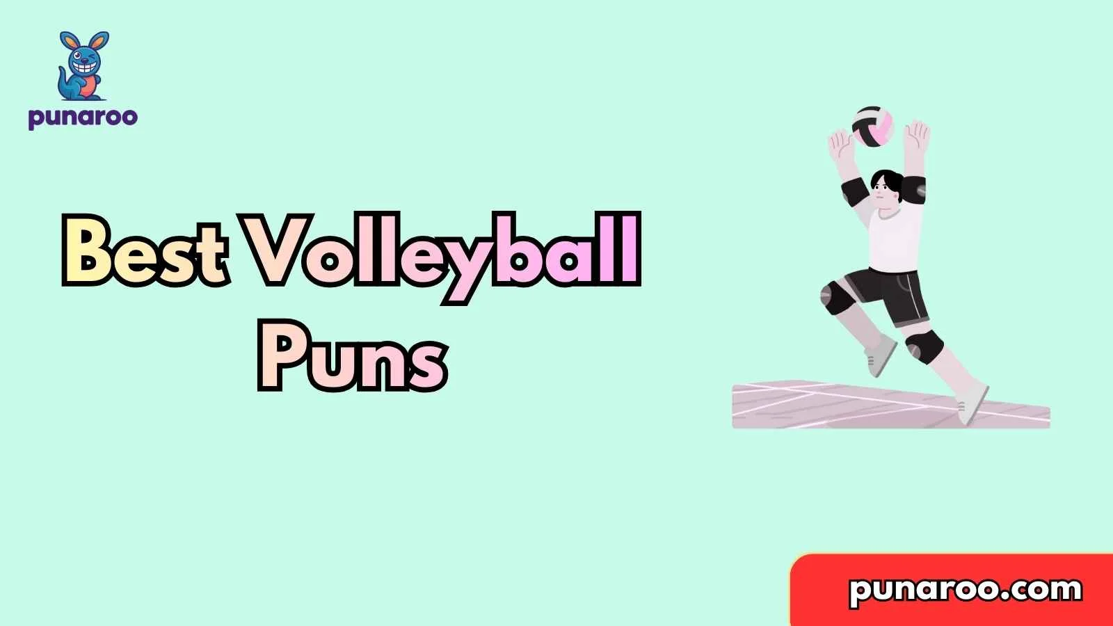 Best Volleyball Puns