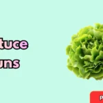 Lettuce Puns