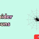 spider puns