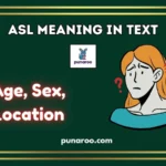 ASL Meaning in Text