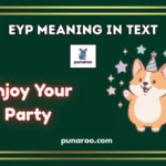 EYP Meaning in Text