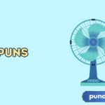 Fan Puns