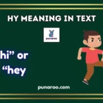 HY Meaning in Text