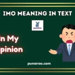 IMO Meaning in Text