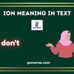 ION Meaning in Text