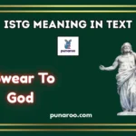 ISTG Meaning In Text
