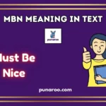 MBN meaning in text