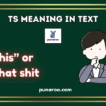 TS Meaning In Text