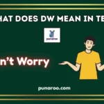 What Does DW Mean In Text