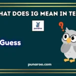 What Does IG Mean in Text
