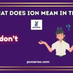 What Does ION Mean In Text