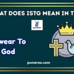 what does istg mean in text