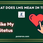 What Does LMS Mean in Text