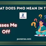 what does pmo mean in text