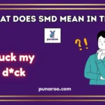 What Does SMD Mean In Text