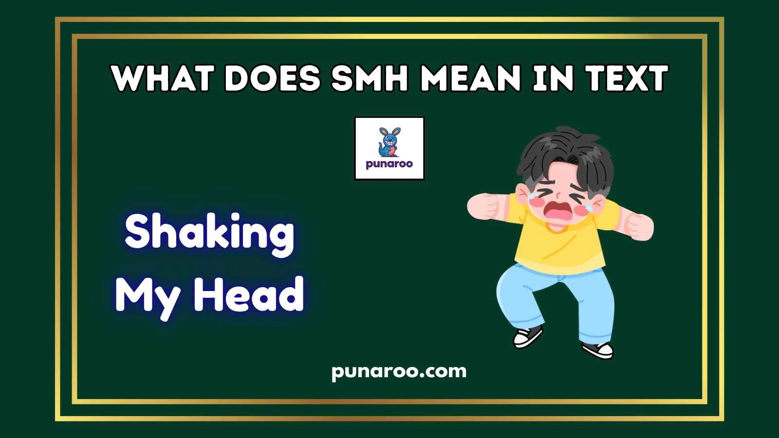 What Does SMH Mean In Text