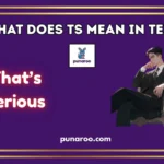 What Does TS Mean In Text