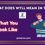 What Does WYLL Mean In Text