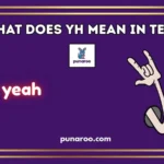What Does YH Mean In Text