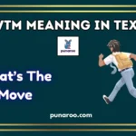 WTM meaning in text