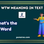 WTW Meaning in Text