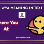 WYA Meaning In Text