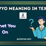 WYO meaning in text